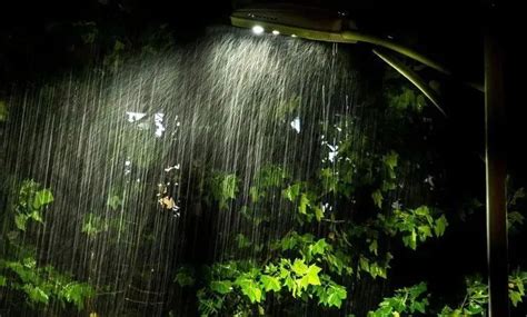 晚上下大雨|水科普丨为何有些地区强降雨总爱在夜里发生？